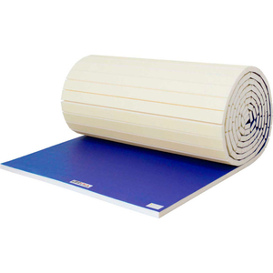 WRESTLING MAT 2" THICK 6' X 24' ROLL ROYAL by Ez Flex Sport Mats