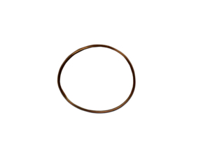 PRE-FILTER O-RING, 9-7/8 IN, BUNA N by Evoqua Water Technologies LLC. (Formerly Siemens Water Technologies LLC) PRE-FILTER O-RING, 9-7/8 IN, BUNA N by Evoqua Water Technologies LLC. (Formerly Siemens Water Technologies LLC)