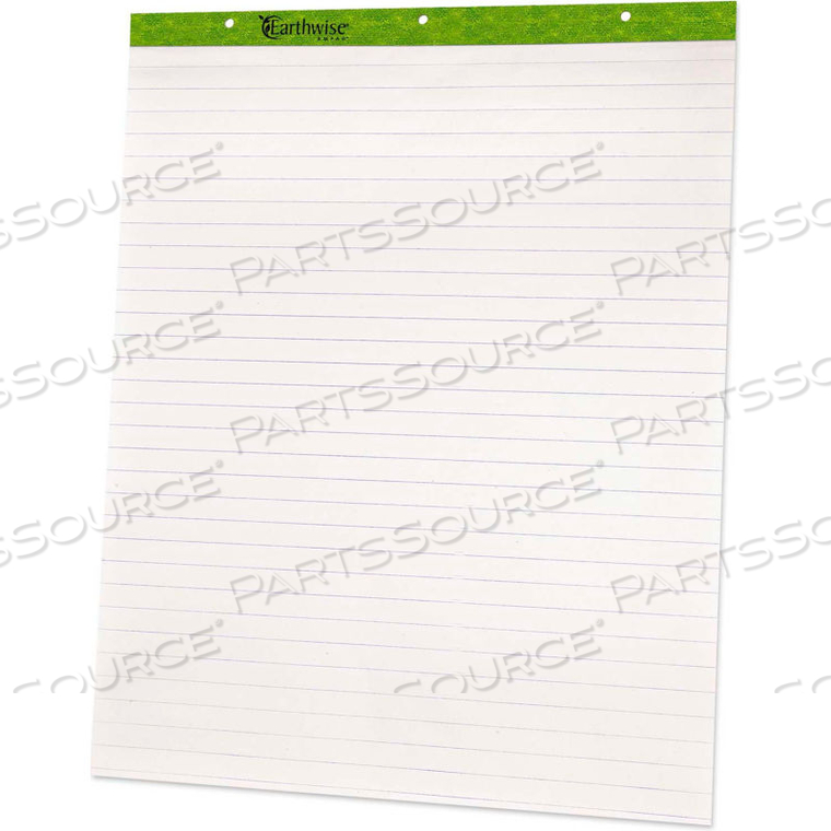 EVIDENCE FLIP CHART PADS, 27 X 34, RULED, 50 SHEETS/PAD, 2 PADS/CT 