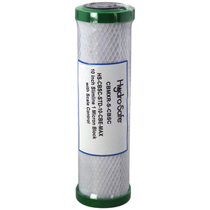 REPLACEMENT FILTER - HS -CBSC-STD-10-CBE-MAX by Dormont