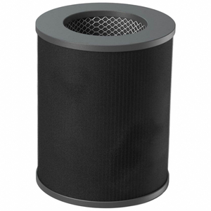 SKYE HEPA FILTER 10 IN W 14 IN H by Air Health