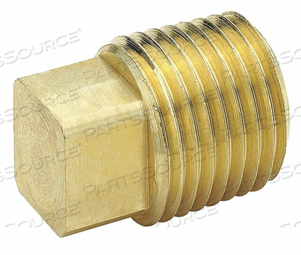 SQUARE HEAD PLUG BRASS 3/4 IN. PIPE by Parker Hannifin Corporation SQUARE HEAD PLUG BRASS 3/4 IN. PIPE by Parker Hannifin Corporation