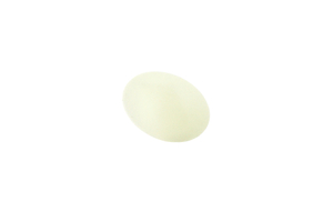 INHALATION & EXHALATION VALVE DISC - WHITE by Midmark Corp.