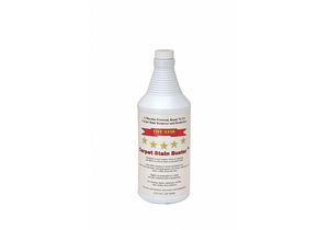 SPOT AND STAIN REMOVER ODORLESS by Clift Industries