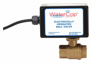 BALL VALVE ELECTRONIC 1/2 IN FNPT by Watercop