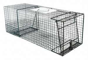 LIVE ANIMAL CAGE TRAP 36 INLX13INWX13INH by Kness Pest Defense