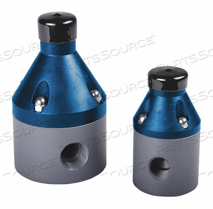 PRESSURE VALVE 3/4 PIPE 250 PSI PVDF by Hayward