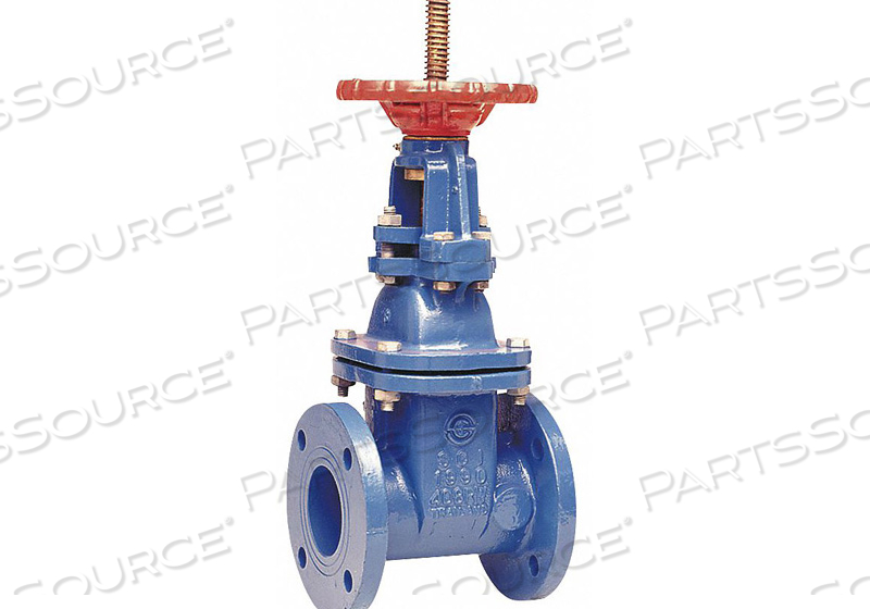 GATE VALVE CLASS 250 2-1/2 IN. by Watts Regulator Co.