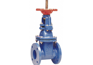 GATE VALVE CLASS 250 2-1/2 IN. by Watts Regulator Co.