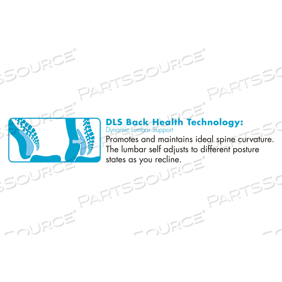 COMMERCIAL 2000 HIGH-BACK EXECUTIVE CHAIR, DYNAMIC LUMBAR SUPPORT, SUPPORTS 300LB, 20" TO 23" SEAT HEIGHT, BLACK, SILVER BASE by La-Z Boy