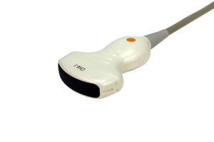 CH4-1 TRANSDUCER (ANTARES) by Siemens Medical Solutions