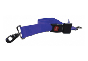 STRAP BLUE 5 FT L by Disaster Management Systems (DMS) STRAP BLUE 5 FT L by Disaster Management Systems (DMS)