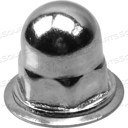 NUT, ACORN/NP (100) 