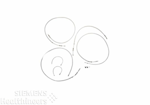 SET OF BOWDEN WIRES by Siemens Medical Solutions