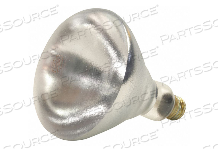 INCANDESCENT FLOODLIGHT R40 250W by Shat-R-Shield