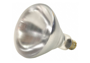 INCANDESCENT FLOODLIGHT R40 250W by Shat-R-Shield