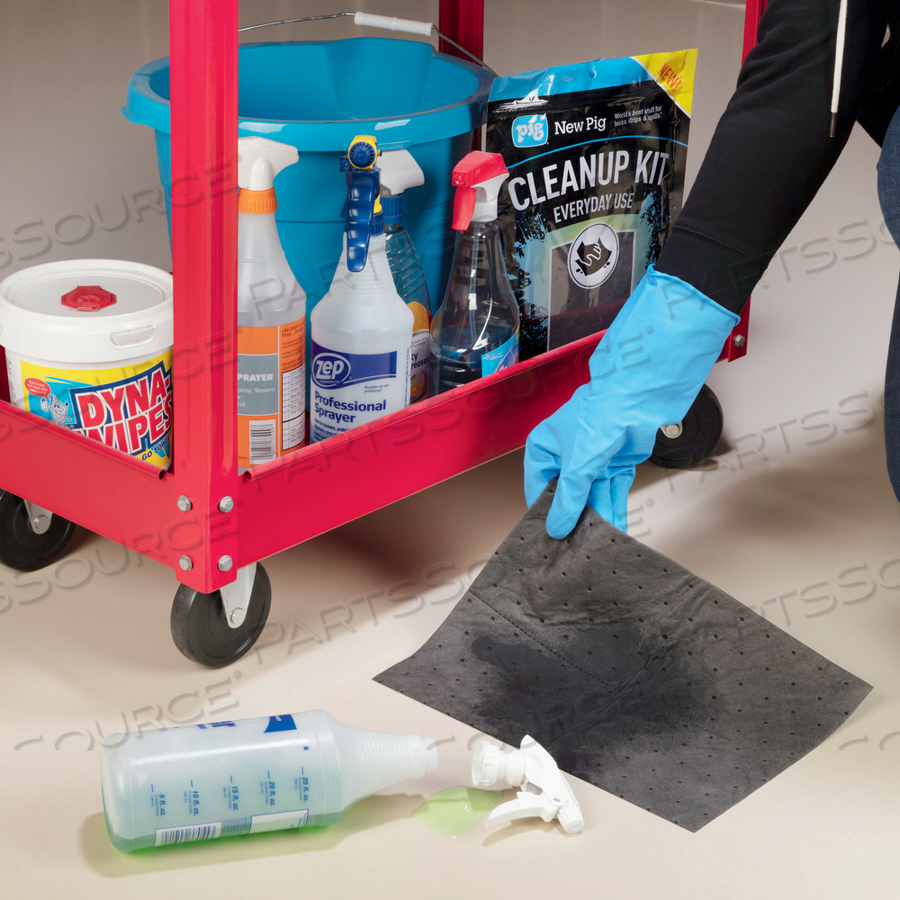 PIG EVERYDAY USE CLEANUP KIT by New Pig Corporation