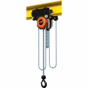 HURRICANE 360 HOIST & TROLLEY COMBO GEARED 2 TON CAPACITY, 30' LIFT by Columbus McKinnon