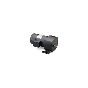 1/2 HP, 42 RPM, 12VDC, TEFC, P1100, 42:1 RATIO, 705 IN-LBS by Leeson