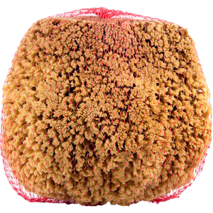 ROLLERLITE LARGE NATURAL SEA SPONGE, BEIGE, 12/CASE by Quali-Tech Mfg