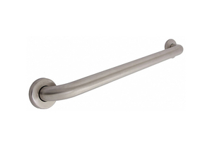 GRAB BAR STAINLESS STEEL SATIN 21 L IN. by Taymor