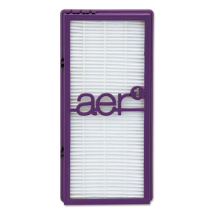 AER1 TRUE HEPA ALLERGEN PERFORMANCE-PLUS REPLACEMENT FILTER, 5 X 10 by Holmes