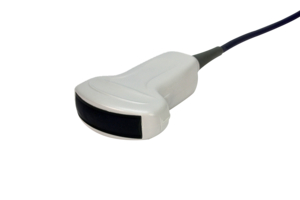 C60X/5-2 MHZ TRANSDUCER by Fujifilm Sonosite Inc