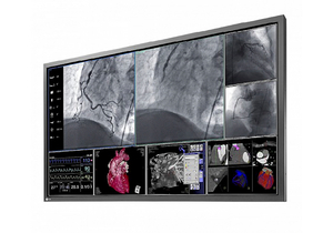 LARGE DISPLAY 8 MP MONITOR KIT by GE Healthcare
