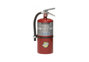 FIRE EXTINGUISHER 4A 60B C 10 LB. 17IN.H by Buckeye