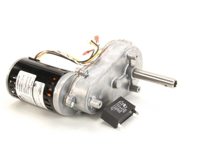 MOTOR 115V by Multiplex