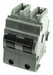 BOLT ON CIRCUIT BREAKER 125A 2 POLES by Connecticut-Electric