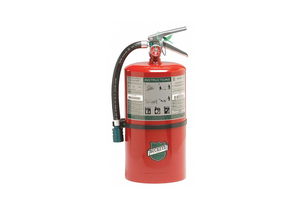 FIRE EXTINGUISHER 2A 10B C 15.5 LB 18INH by Buckeye