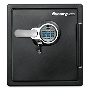 FIRE-SAFE WITH BIOMETRIC AND KEYPAD ACCESS, 1.23 CU FT, 16.3W X 19.3D X 17.8H, BLACK by SentrySafe