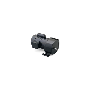 1/3 HP, 288 RPM, 115/208-230V, 1-PHASE, TEFC, P1100, 6:1 RATIO, 70 IN-LBS by Leeson