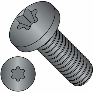 1/4-20X1 6 LOBE PAN MACHINE SCREW FULLY THREADED BLACK ZINC, PKG OF 2500 by Kanebridge Corporation