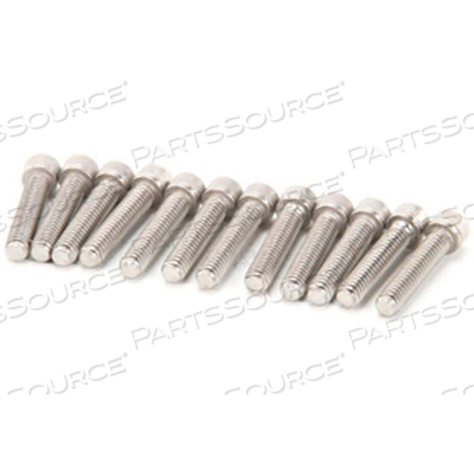 BLADE RETEN SCREWS 12PKG by Prince Castle