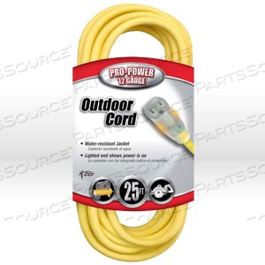 02587 COLEMAN LIGHTED END EXTENSION CORD,12/3 SJTW,L 25' by Southwire Company, LLC