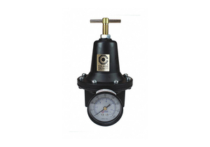 REGULATOR W/GAUGE 0-200PSI 3/4 by Coilhose Pneumatics