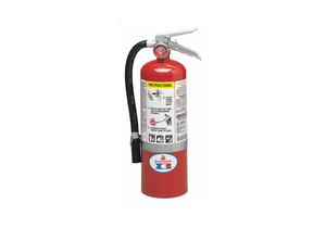 FIRE EXTINGUISHER 5 LB. ABC NO BRACKET by Badger