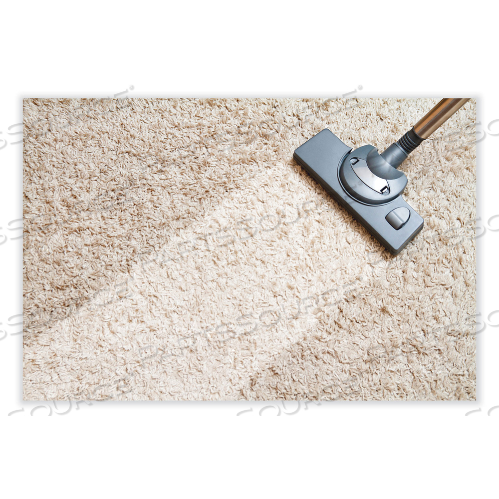 FIBERPRO EXTRACTION CLEANER, PLEASANT SCENT, 1 GAL BOTTLE by Betco Corporation