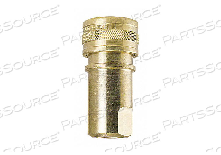 SOCKET BRASS 1/8 X 1/8 FPT by Foster