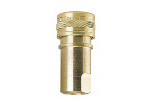 BRASS SOCKET 1/8 X1/8 FPT by Foster