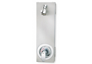 WALL SHOWER INDIVIDUAL PIVOTING 2.5 GPM by Bradley Corporation