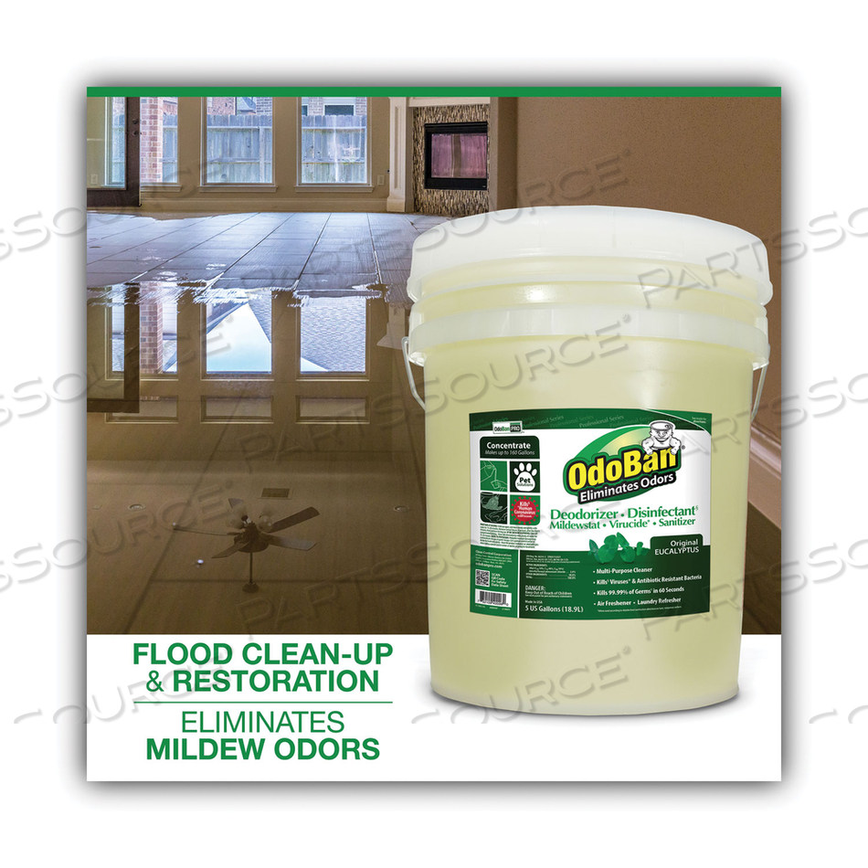 CONCENTRATED ODOR ELIMINATOR AND DISINFECTANT, EUCALYPTUS, 5 GAL PAIL by Odoban