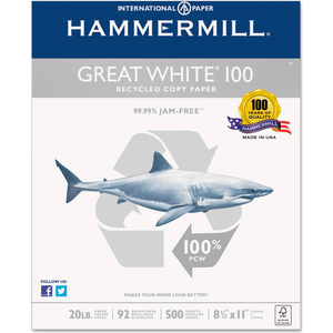 RECYCLED COPY PAPER - HAM - WHITE - 8-1/2 X 11 - 20 LB. - 5000 SHEETS/CARTON by International Paper