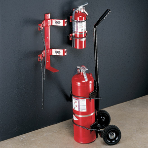 FIRE EXTINGUISHER DRY CHEMICAL 10B C by Amerex