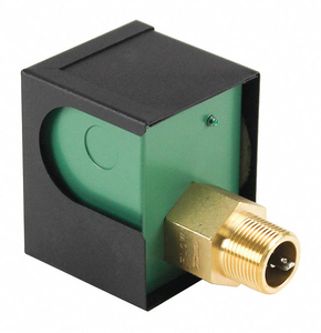 1" INDUSTRIAL FLOW SWITCH by Raypak