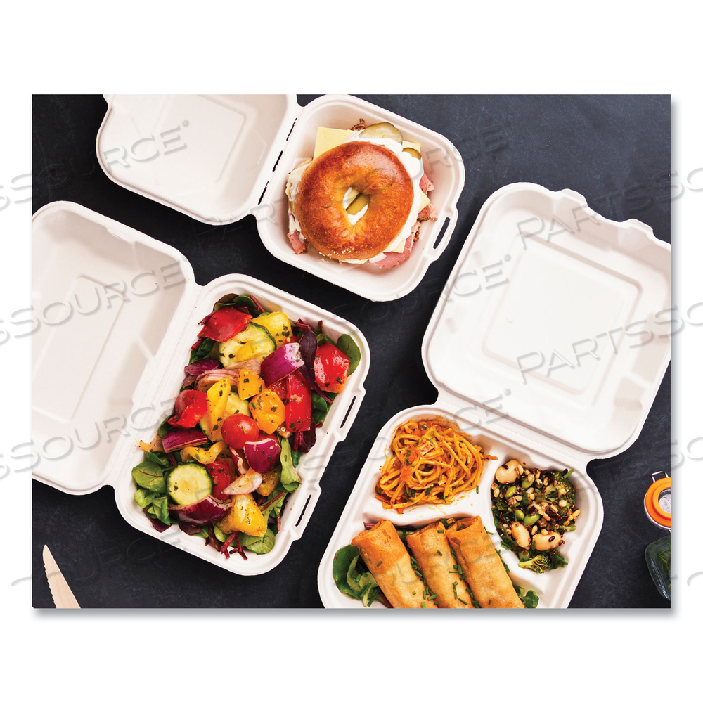 WHITE MOLDED FIBER CLAMSHELL CONTAINERS, 9 X 11 X 2, WHITE, SUGARCANE by Vegware WHITE MOLDED FIBER CLAMSHELL CONTAINERS, 9 X 11 X 2, WHITE, SUGARCANE by Vegware