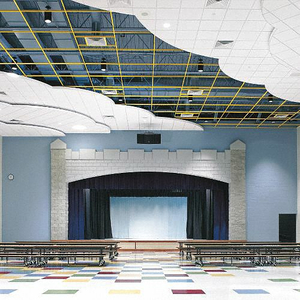 CEILING TILE 24 W 24 L 5/8 THICK PK16 by Armstrong