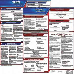 LABORLAW POSTER FED/STA IN ENG 20INH 3YR by J.J. Keller & Associates